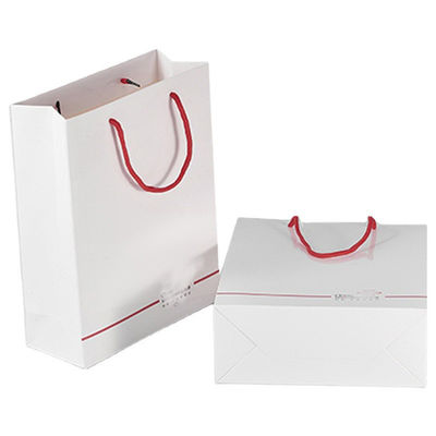 Заказ на заказ приемлемый Luxury Logo Printed Shopping Bag для красивого праздничного подарка