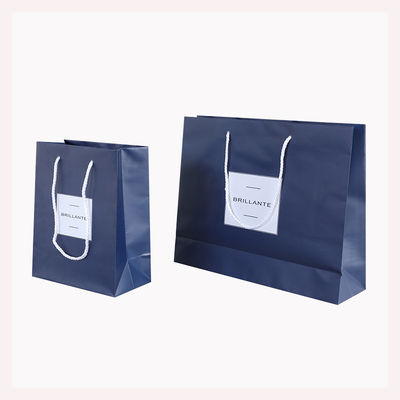 Заказ на заказ приемлемый Luxury Logo Printed Shopping Bag для красивого праздничного подарка