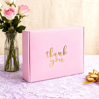 Corrugated Recyclable Biodegradable Gift Packaging Shoes Clothes Sponge Lined Postal Mailer Shipping